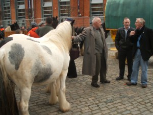 Smithfield Horse Fair 2013